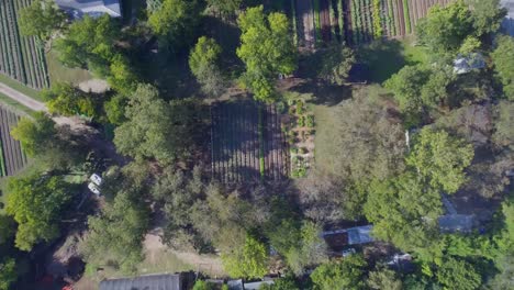 Luftaufnahme:-Blick-Aus-Der-Vogelperspektive-Auf-Ein-Kleines-Feld-Auf-Einem-Bewirtschafteten-Bauernhof-In-Austin,-Texas