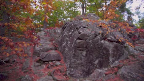 Slow-rising-shot-over-2-red-rocks-on-the-side-of-a-walking-trail-in-an-autumn-coloured-forest