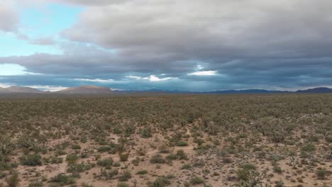 Aufsteigende-Luftaufnahme-Eines-Wilden-Gebiets-Außerhalb-Von-Prescott,-Arizona,-USA-Vor-Einem-Sturm