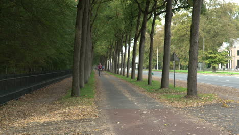4K---bicycle-path-with-trees-in-Baarn,-the-Netherlands