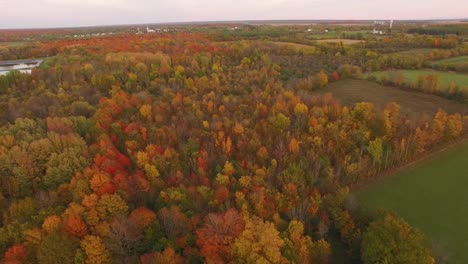 High-angle-forward-drone-flight-looking-down-on-fall-foliage-around-wide-open-farm-fields