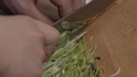 Close-up-of-a-cook-slicing-scallions-in-a-kitchen-of-a-restaurant