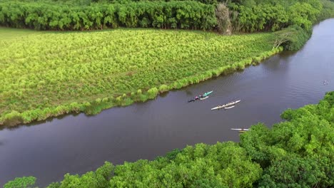 Vista-Aérea-De-Kayaks-En-El-Río-Hawaiano