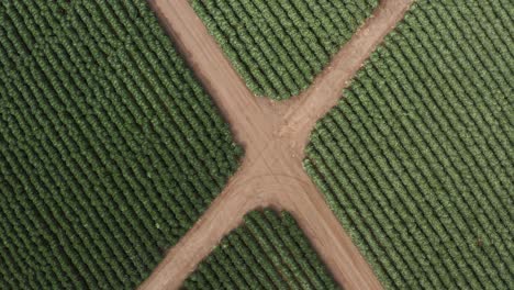 Aerial-view-of-Farm-off-the-coast-off-of-High-way-1-in-Northern-California