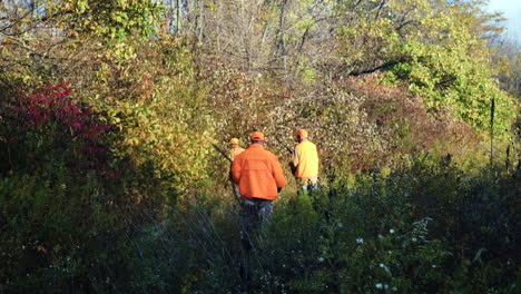 Men-carrying-rifles-enter-a-forest-while-hunting-for-ring-necked-pheasants