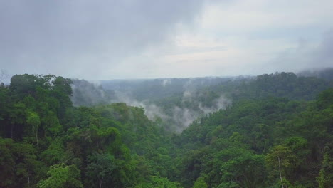 Aerial-flying-past-trees-in-misty-rainforest-in-Costa-Rica-on-a-foggy-morning