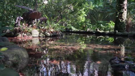 Kleiner-Versteckter-Teich-In-Einem-Botanischen-Park
