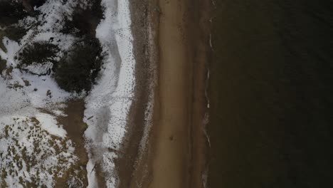 Flying-above-the-beach