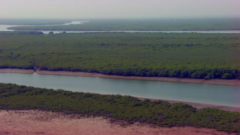 Aerial-flight-over-the-Mangroves-forest-of-the-sea,-The-green-and-long-forest-view-by-helicopter