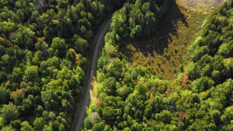 Frühherbst-Luftaufnahmen-Eines-Abgelegenen-Waldes-Im-Norden-Von-Maine,-Der-Einer-Unbefestigten-Straße-Folgt