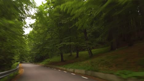 Driving-on-a-winding-road-in-a-forest-with-lush-vegetation,-Bucegi-mountains,-Rumania