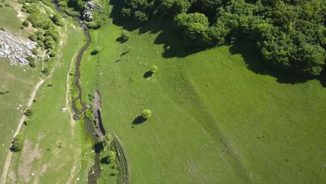 Wunderschöne-Luftaufnahme-Des-Flusses-Hesdate,-Der-Aus-Der-Turda-Schlucht-Fließt