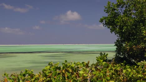 Die-Rosa-Und-Grünen-Salzpfannen-Und-Seen-Von-Bonaire