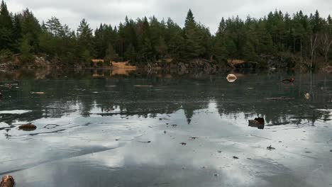 Low-Shot-of-Wet-Ice-Lake-in-Forest
