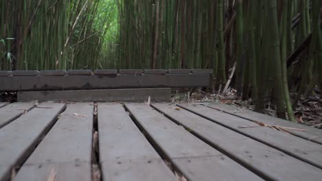 Low-shot-going-up-stairs-in-a-bamboo-forest-in-Maui-Hawaii
