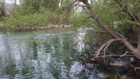 Überblick-über-Eine-Flusspfanne-Links-4k