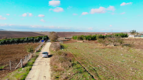 Drone-Shot-Of-Farmland-in-Istanbul,-Turkey-for-car-crossing-the-green-field