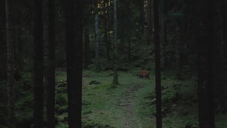 Wunderschöne-Landschaft-Mit-Einer-Holzbank-Inmitten-Eines-Stimmungsvollen-Herbstwaldes