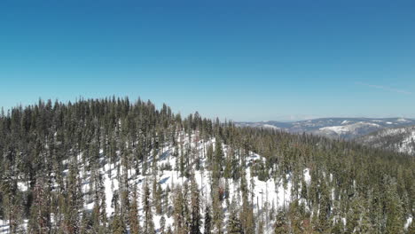 Descending-aerial-shot-of-snow-covered-mountain-and-trees-in-California-Sierra-Nevadas