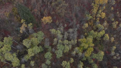 Drone-footage-of-fall-colors-in-the-mountains