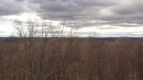 Drone-Despega-Y-Se-Eleva-Por-Encima-De-Los-árboles-Y-El-Bosque-En-Las-Montañas-Catskill