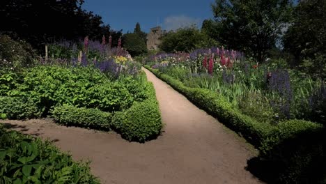 June-Border-at-Crathes-Castle-Gardens-Slow-Pan-up