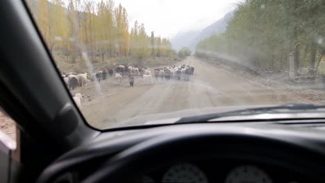 Driving-and-travelling-through-the-amazing-Barskoon-Valley-in-Kyrgyzstan-Central-Asia
