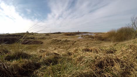Dünenlandschaft-Auf-Der-Niederländischen-Insel-Texel