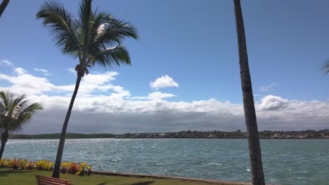 Palmen-Vor-Dem-Hintergrund-Des-Ozeans-Und-Des-Blauen-Himmels