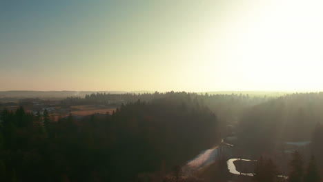 winter-lake-drone-flight-aerial-frozen-water-forest-pine-trees-sunset-sunlight-light-rays-pruhonice-czech-republic
