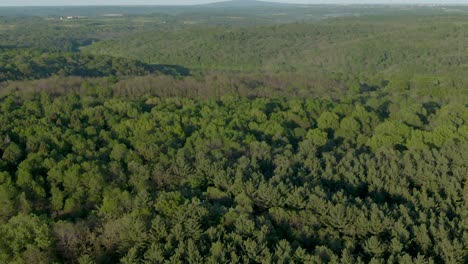 Slowly-rising-tilt-aerial-of-dense-forest-covered-hills-in-Wisconsin-during-a-warm-summer-day-at-dusk