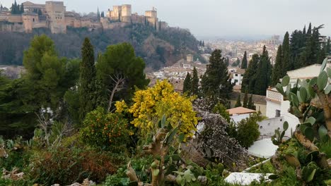 Tiro-Inclinado-Sobre-La-Alhambra-Y-La-Vegetación-Verde
