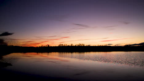 Ein-Kleines-Murmeln-Von-Staren-Vor-Einem-Wunderschönen-Abendhimmel-Nach-Sonnenuntergang,-Mit-Einer-Spiegelung-Im-Wasser-Eines-Teiches
