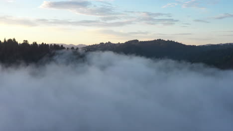 Drone-Rompiendo-Las-Nubes-Para-Mostrar-Montañas-Cubiertas-De-Pinos-Y-Secuoyas-En-California