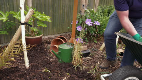 Footage-of-man-removing-bark-chippings-out-of-a-wheelbarrow,-and-throwing-them-on-the-ground-between-plants-and-trees
