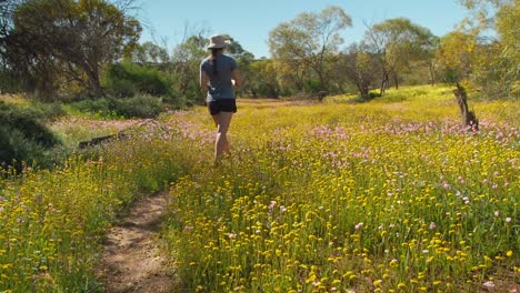 Young-woman-walks-through-a-meadow-of-colourful-Everlasting-wildflowers-in-Coalseam-Conservation-Park-Slow-Motion