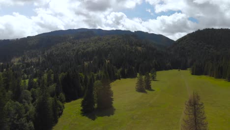 Aerial-forwards-over-wide-open-meadow-in-dense-forest-aera-with-mountains-in-background-on-bright-and-sunny-day