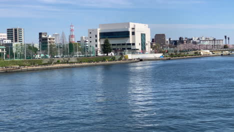 180°-Panorama-Des-Sumida-Flusses-Mit-Kirschblüten-Im-Sumida-Park