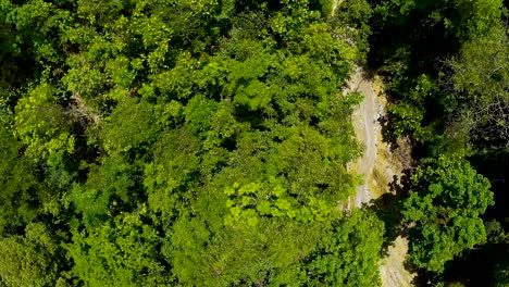 Slow-moving-POV-aerial-shot-of-a-river-winding-through-the-thick-lush-tropical-jungle-of-Bohol,-Philippines