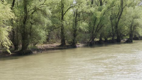 Reserva-Natural-Delta-Del-Río-Danubio