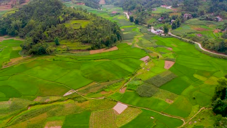 Lush-green-rice-fields-nestled-in-a-valley-of-northern-Vietnam's-Ma-Pi-Leng-Pass