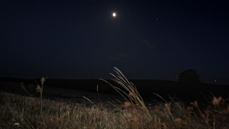 Vista-Nocturna-Sobre-Un-Campo-Aislado,-Iluminado-Por-La-Luna
