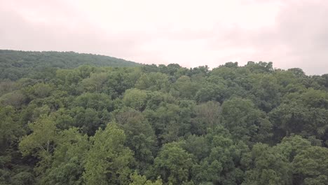 Drone-flying-forward-over-trees-and-forest-in-the-Smoky-Mountains-in-eastern-Tennessee-during-a-cloudy-day-with-homes-in-the-distance