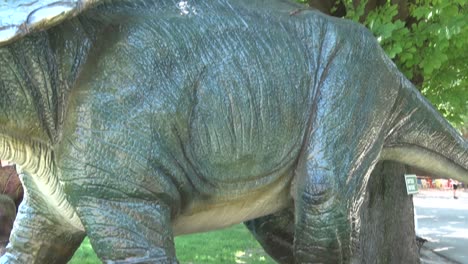 Realistic-tricheraptus-dinosaur-in-park-legs-and-body