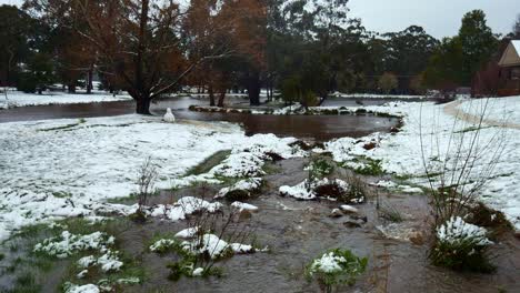 Water-flowing-through-Stony-Creek-into-the-lake-in-Trentham-after-snow