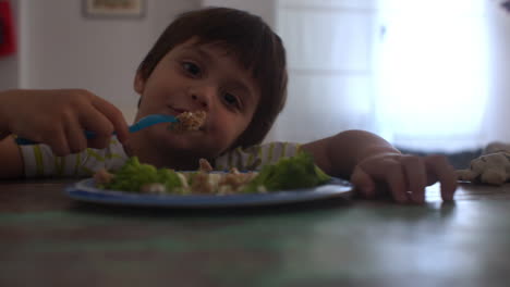 Imágenes-De-Primer-Plano-De-Un-Niño-Comiendo-Hamburguesas-De-Ternera-Y-Brócoli-En-Casa
