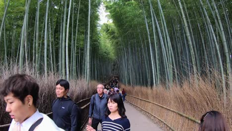 Un-Flujo-Constante-De-Turistas-Recorre-El-Bosque-De-Bambú-De-Arashiyama