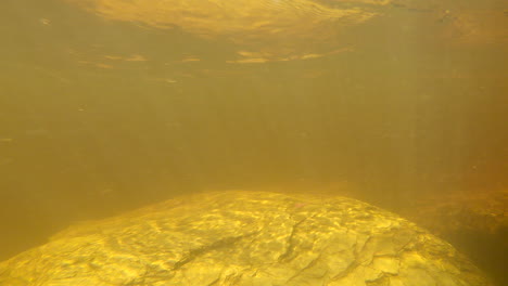 Unterwasseransicht,-Während-Der-Trübe-Fluss-Im-Goldenen-Sonnenlicht-Vorbeirauscht