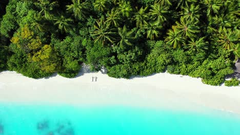 Glänzende-üppige-Vegetation-Und-Palmenwald-über-Weißem-Sand-Eines-Exotischen,-Unberührten-Strandes,-Umspült-Von-Einer-Ruhigen-Azurblauen-Lagune-In-Der-Dominikanischen-Republik