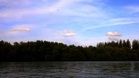 Looking-at-the-water,-sky-and-the-trees-on-the-river-in-Krabi